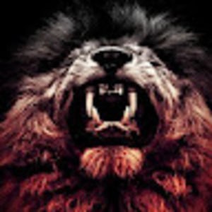 Meet your Posher, Noah